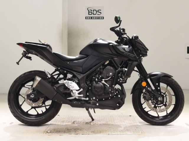 Yamaha MT-25