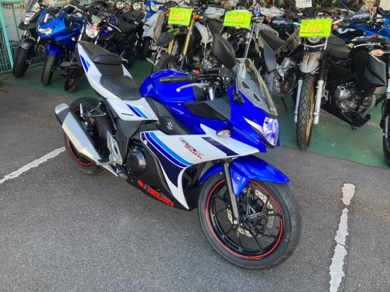 Suzuki GSX250R