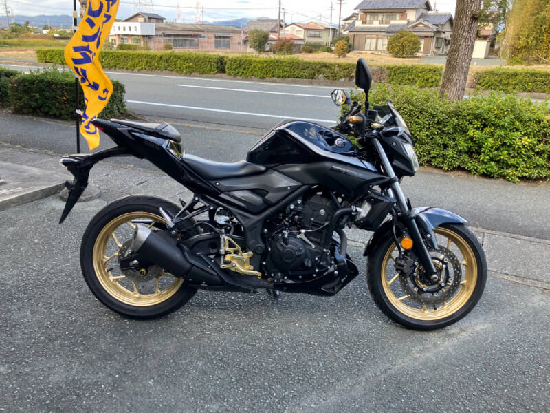 Yamaha MT-25