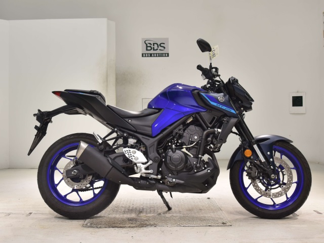 Yamaha MT-25