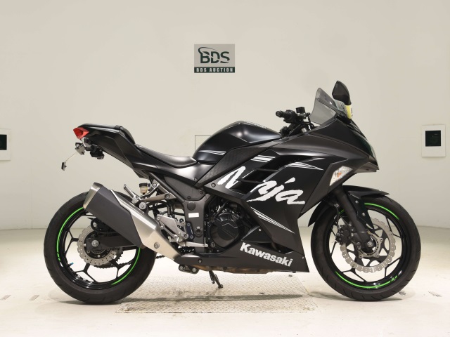 Kawasaki NINJA250