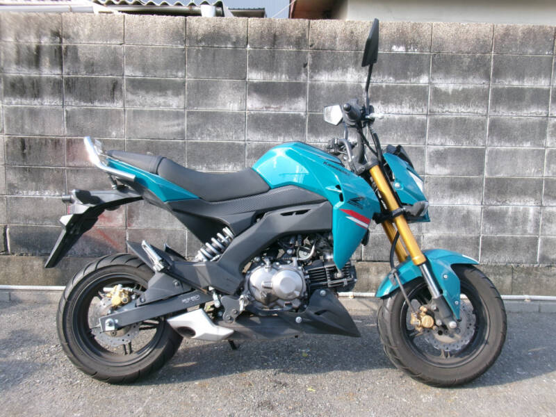 Kawasaki Z125 PRO