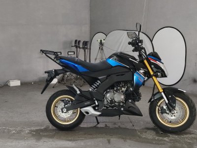 Kawasaki Z125 PRO
