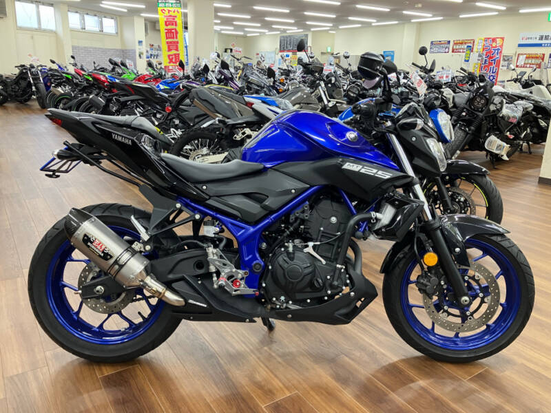 Yamaha MT-25