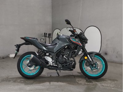 Yamaha MT-25