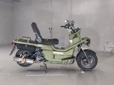 Honda PS250 BIG RUCKUS