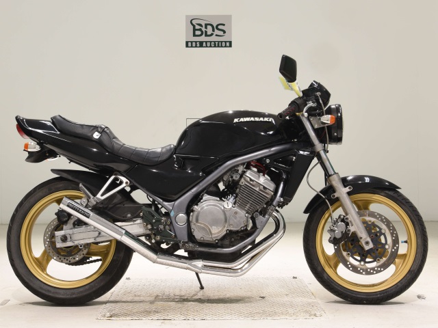 Kawasaki BALIUS ZR250