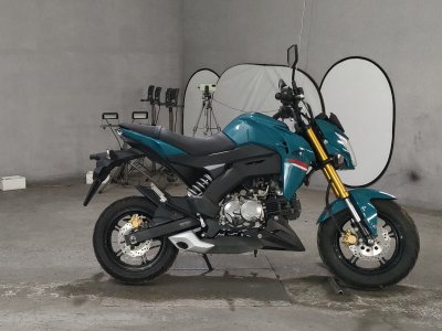 Kawasaki Z125 PRO