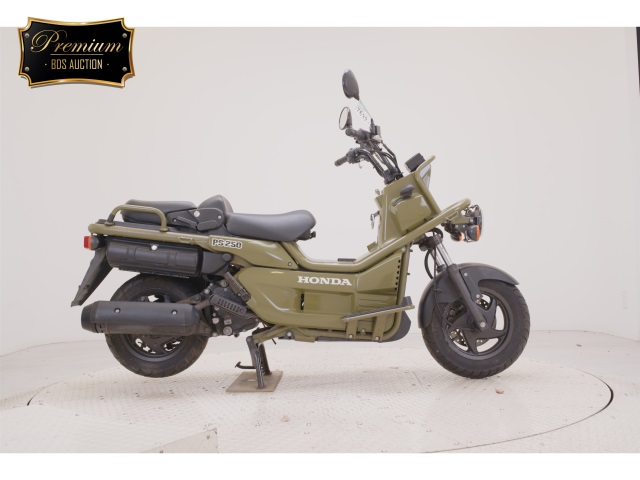 Honda PS250 BIG RUCKUS