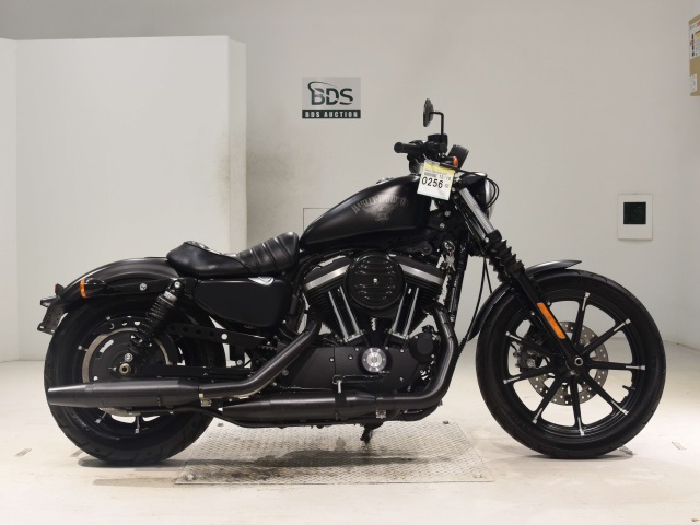 HD SPORTSTER IRON XL883N