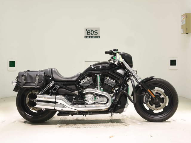 HD Night Rod 1250 SP