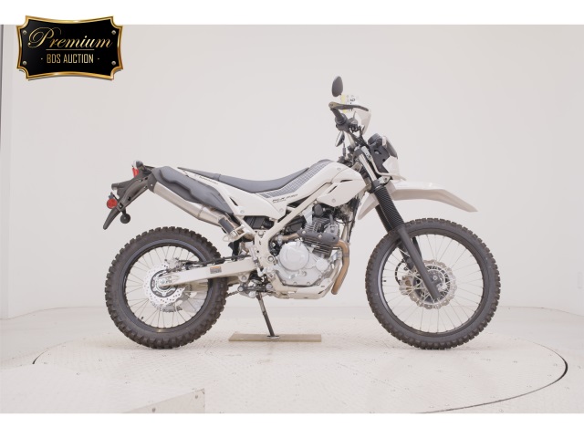 Kawasaki KLX230 SHERPA