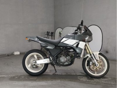 Yamaha TDR250