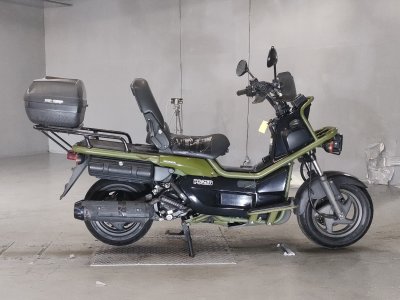 Honda PS250 BIG RUCKUS