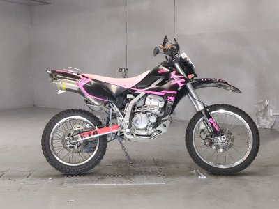 Kawasaki KLX250