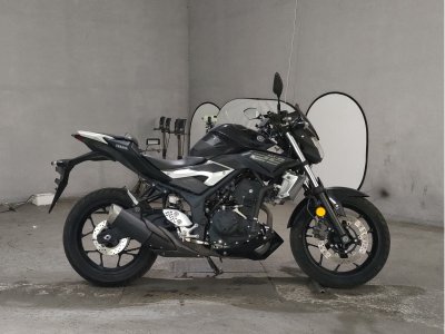 Yamaha MT-25