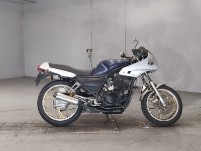 Yamaha SRX250
