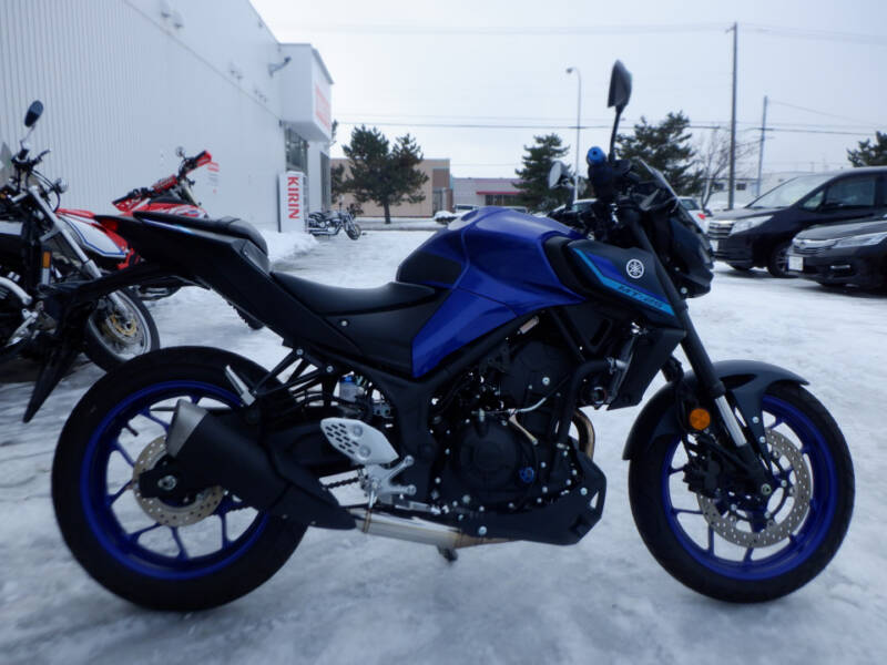 Yamaha MT-25
