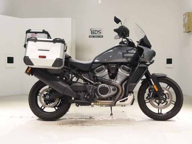 HD PAN AMERICA1250 S