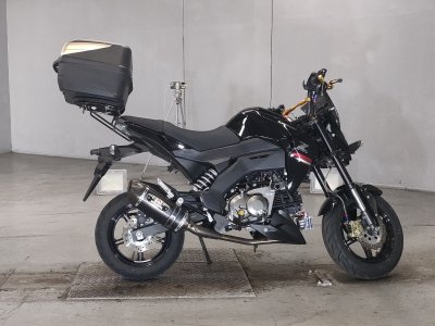 Kawasaki Z125 PRO