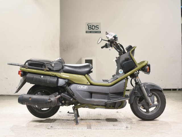 Honda PS250 BIG RUCKUS