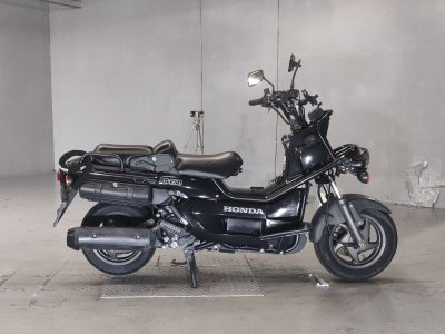 Honda PS250 BIG RUCKUS