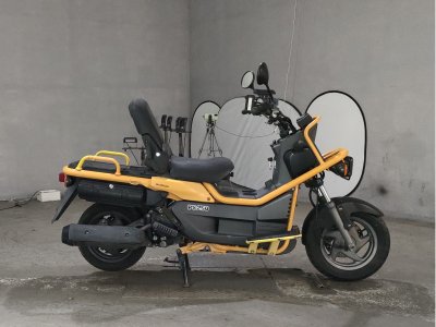 Honda PS250 BIG RUCKUS