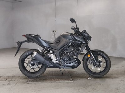 Yamaha MT-25