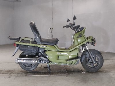 Honda PS250 BIG RUCKUS