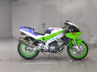 Kawasaki ZXR250