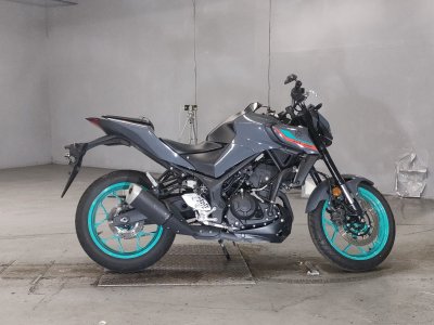 Yamaha MT-25
