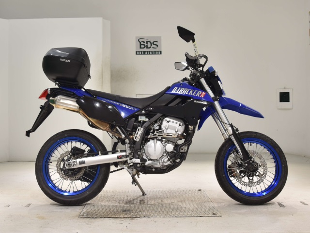 Kawasaki D-TRACKER250X