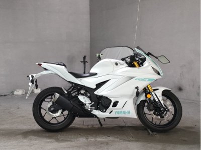Yamaha YZF-R3 2019