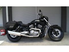 HD NIGHT ROD VRSCD 2006