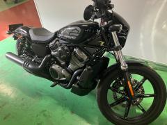 HD RH975 NIGHT STAR 2022