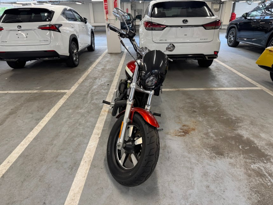 HD SPORTSTER XL1200S 2013
