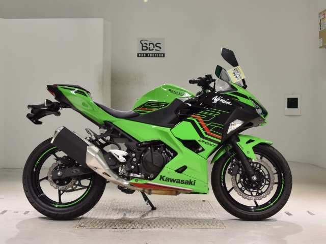 Kawasaki NINJA250 2018