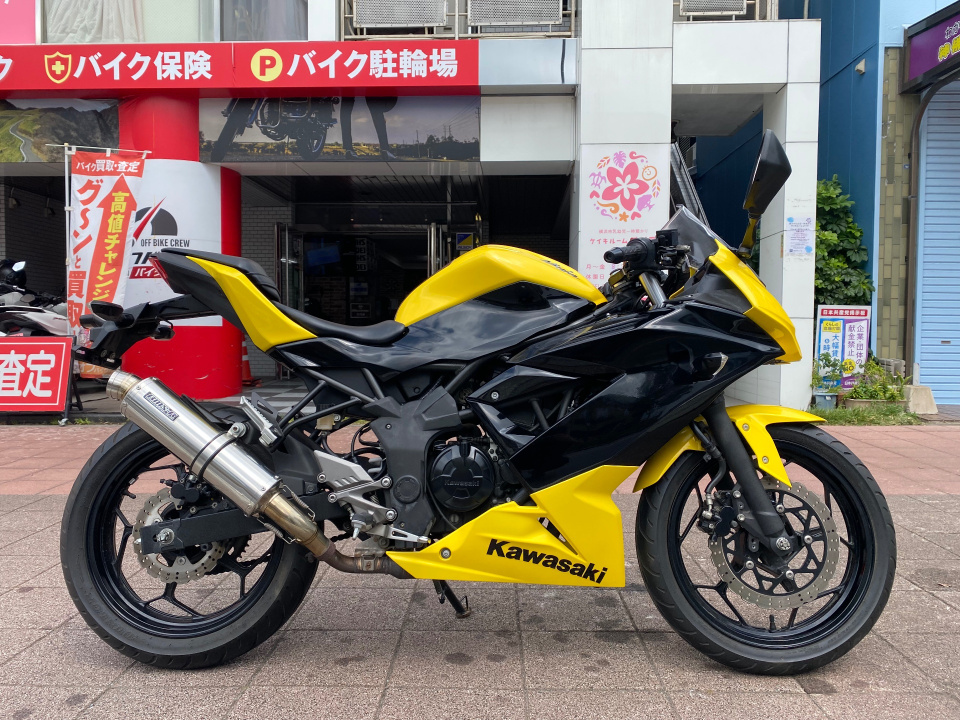 Kawasaki NINJA250 2015