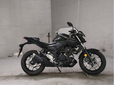 Yamaha MT-25 2019