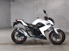 Kawasaki Z250 2013