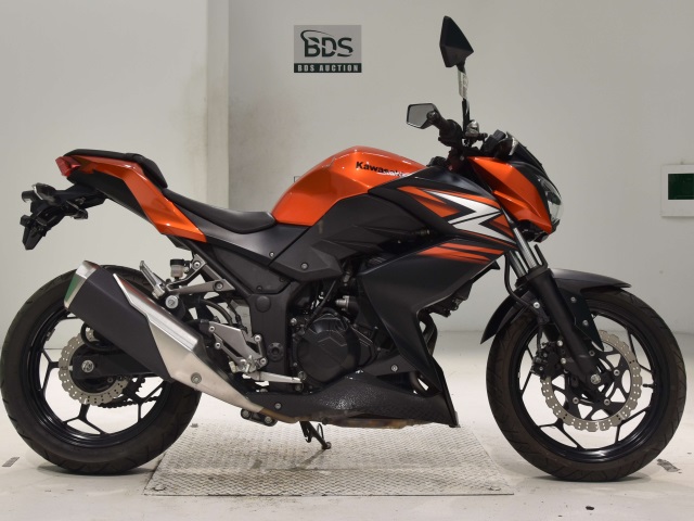 Kawasaki Z250 2014