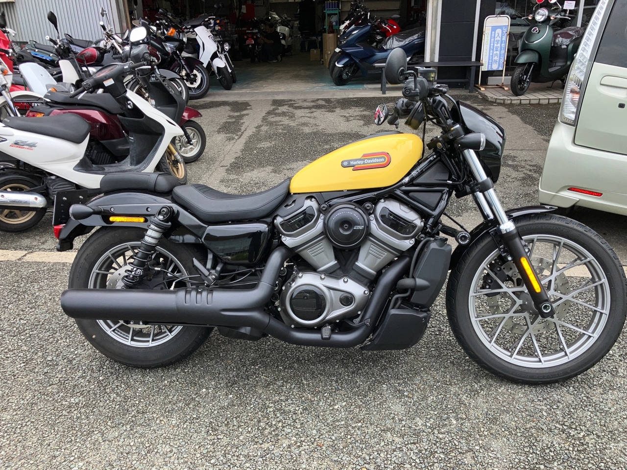 HD RH975S NIGHT STAR 2024