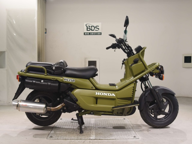 Honda PS250 BIG RUCKUS 2006