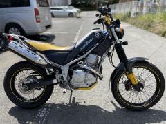 Yamaha TRICKER 2004