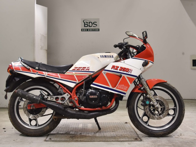 Yamaha RZ250RR 1984