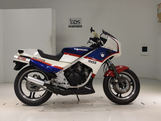 Kawasaki KR250S