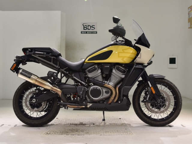 HD PAN AMERICA1250 S 2023