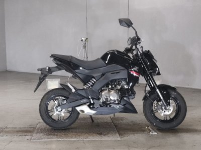 Kawasaki Z125 PRO 2019