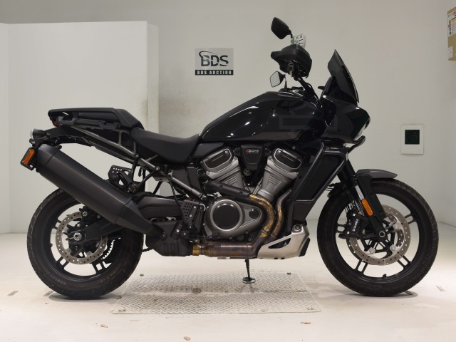 HD PAN AMERICA1250 S 2022
