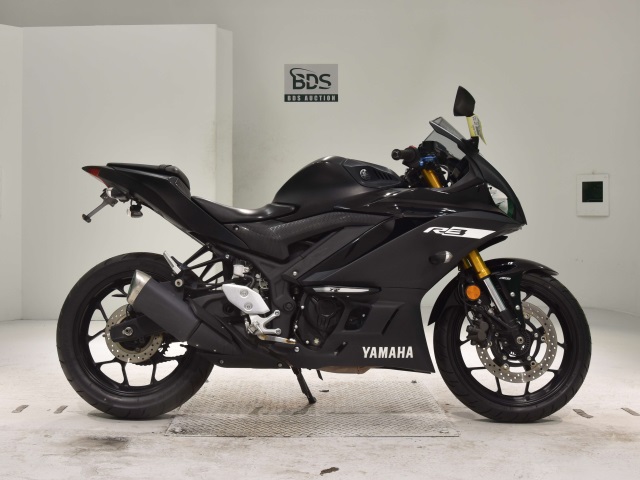 Yamaha YZF-R3 2019